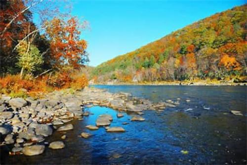 A bank along the Hudson River in the fall.